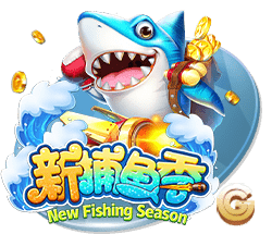 德天空：斯图加特与19岁科尔